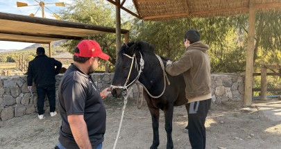 equinoterapia-1