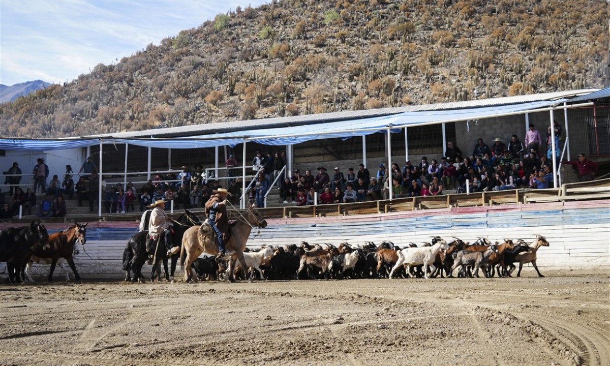 fiesta-del-criancero-tulahuen15-medium